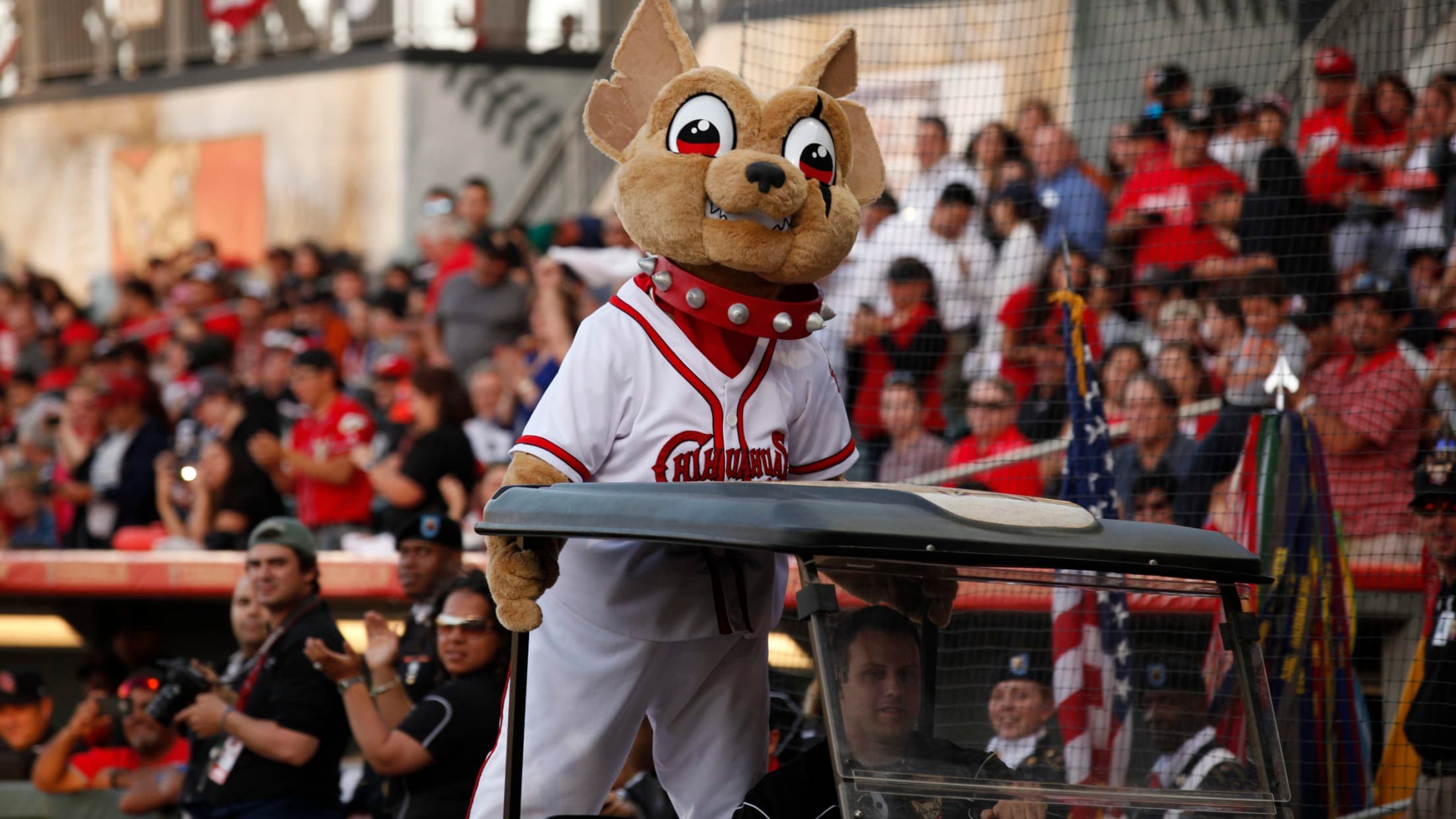 Live Like a Local: Your Insider’s Guide to Baseball Season in El Paso